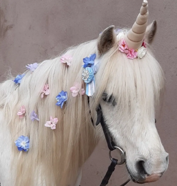 Give the Gift of Horsepower - Gift Voucher