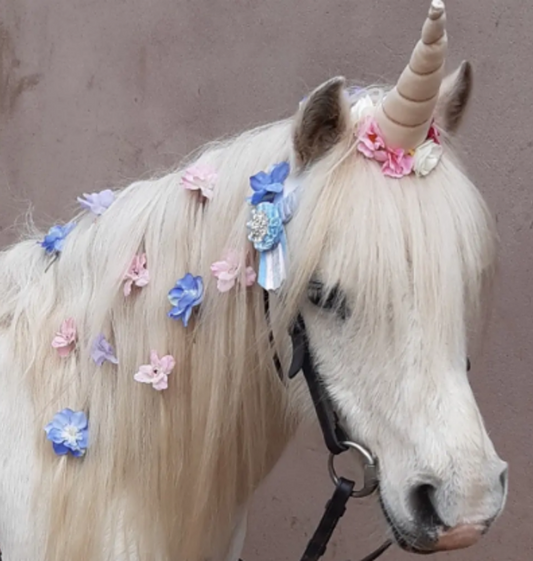 Give the Gift of Horsepower - Gift Voucher